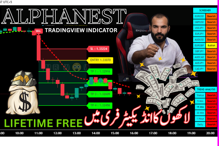 ALPHA NEST INDICATOR - MT5 indicator